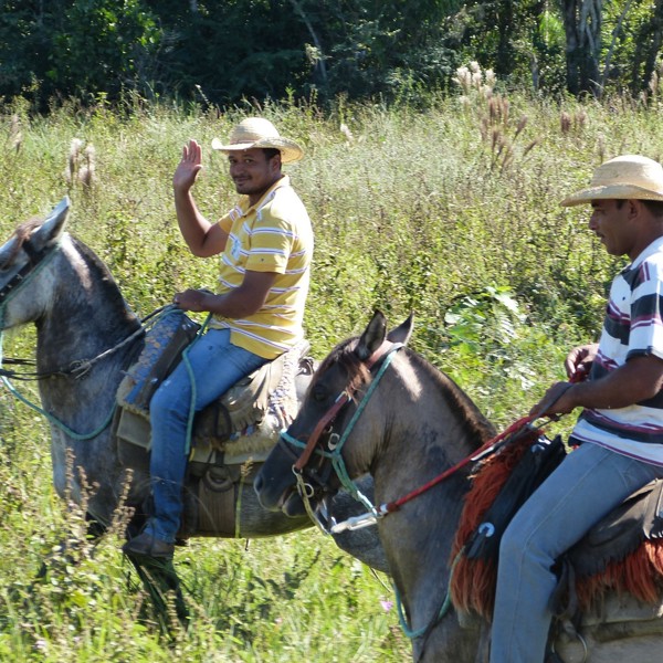 Pantanal nord ridning