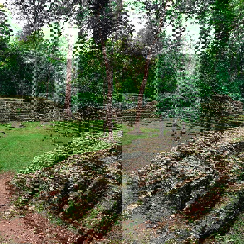 donal-caliz-RYsdeBElz6w-unsplash