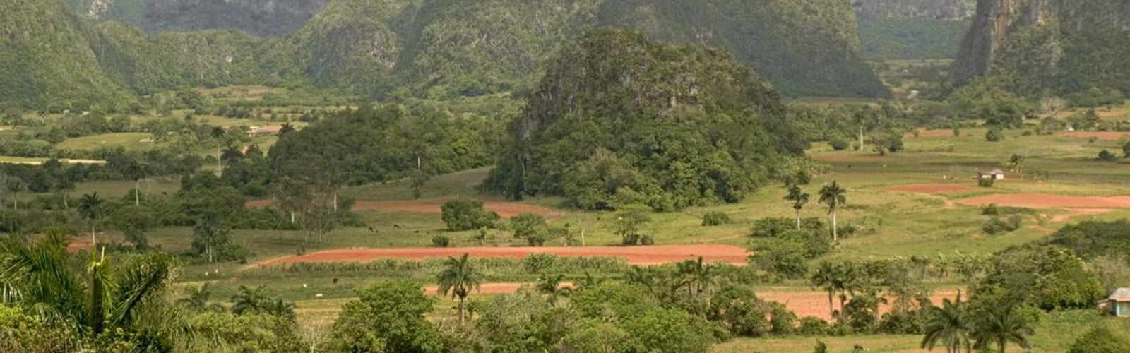 I:\AXUMIMAGES\Caribien\Cuba\nordvestlige cuba\viñales\P4140011 - mindre