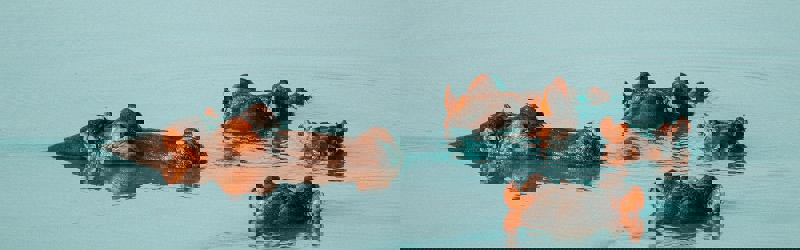 wade-lambert-2q5aDZUq2M4-unsplash