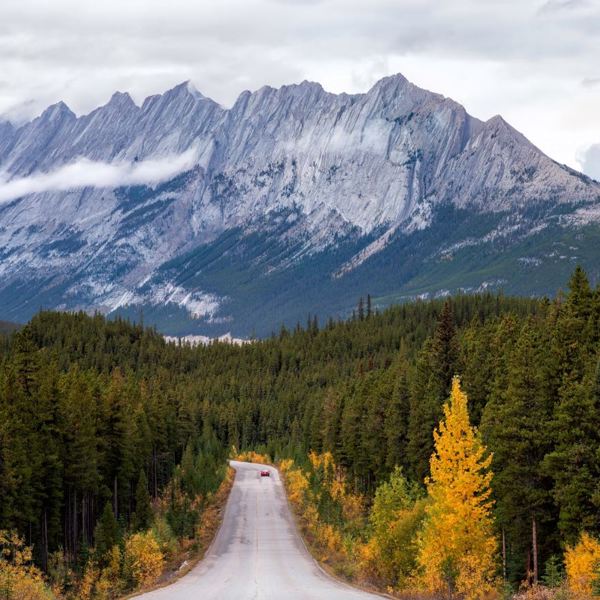 Jasper National Park Mountain