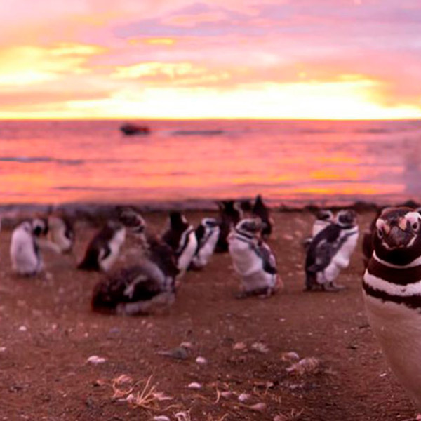 Argentina seværdigheder