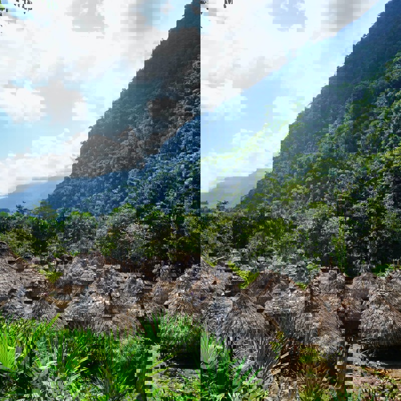 datingjungle-Vv4JB0SMfZ4-unsplash