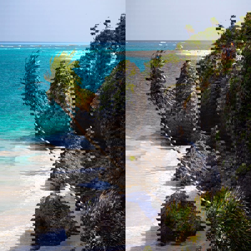 tanja-cotoaga-gvCZOKkp8bw-unsplash