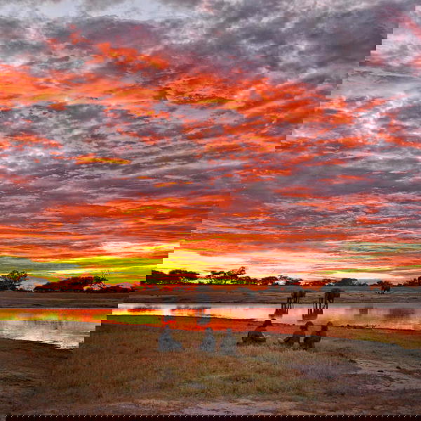 Solnedgang ved vandhul, Somalisa