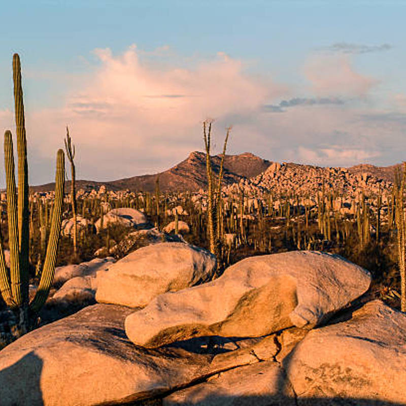 istockphoto-521697523-612x612