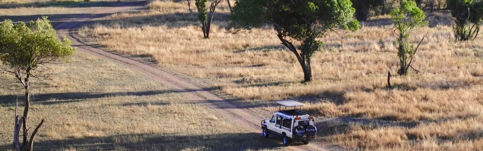 I:\AXUMIMAGES\Afrika\Tanzania\Arusha\Fugleperspektiv (1)