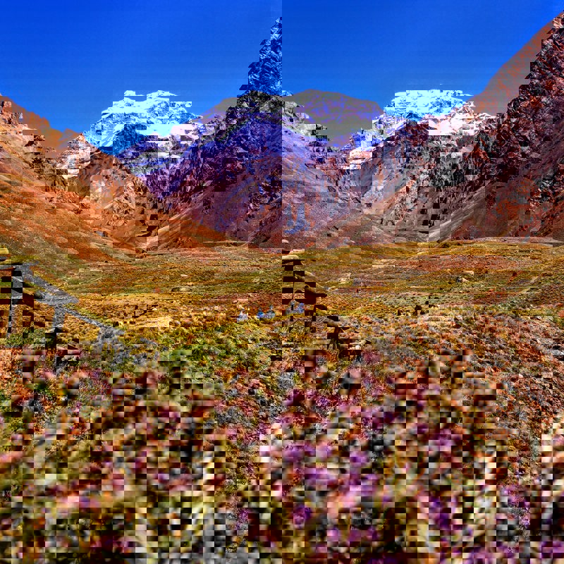 nicolas-perez-eNWcXCbE5fI-unsplash