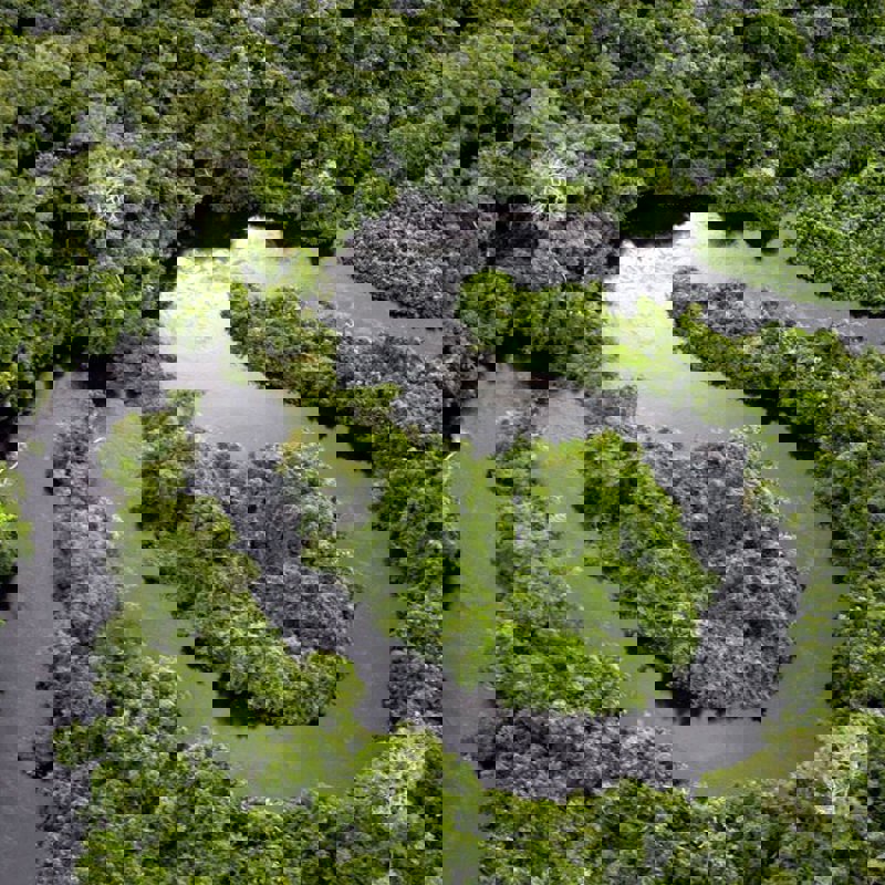 image_processing20190925-4-1tesaw9