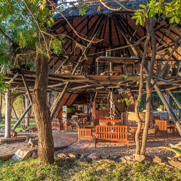 Få fantastiske naturoplevelser på Musango Safari Camp