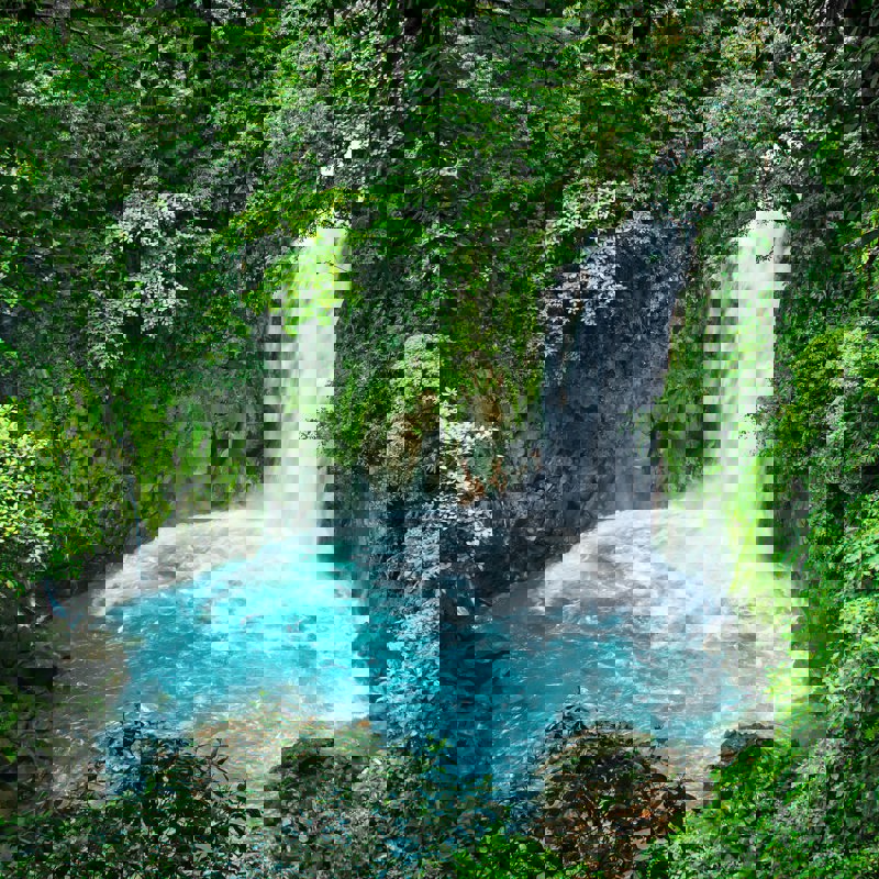 sterlinglanier-lanier-WDBqiHt3tNo-unsplash (1)