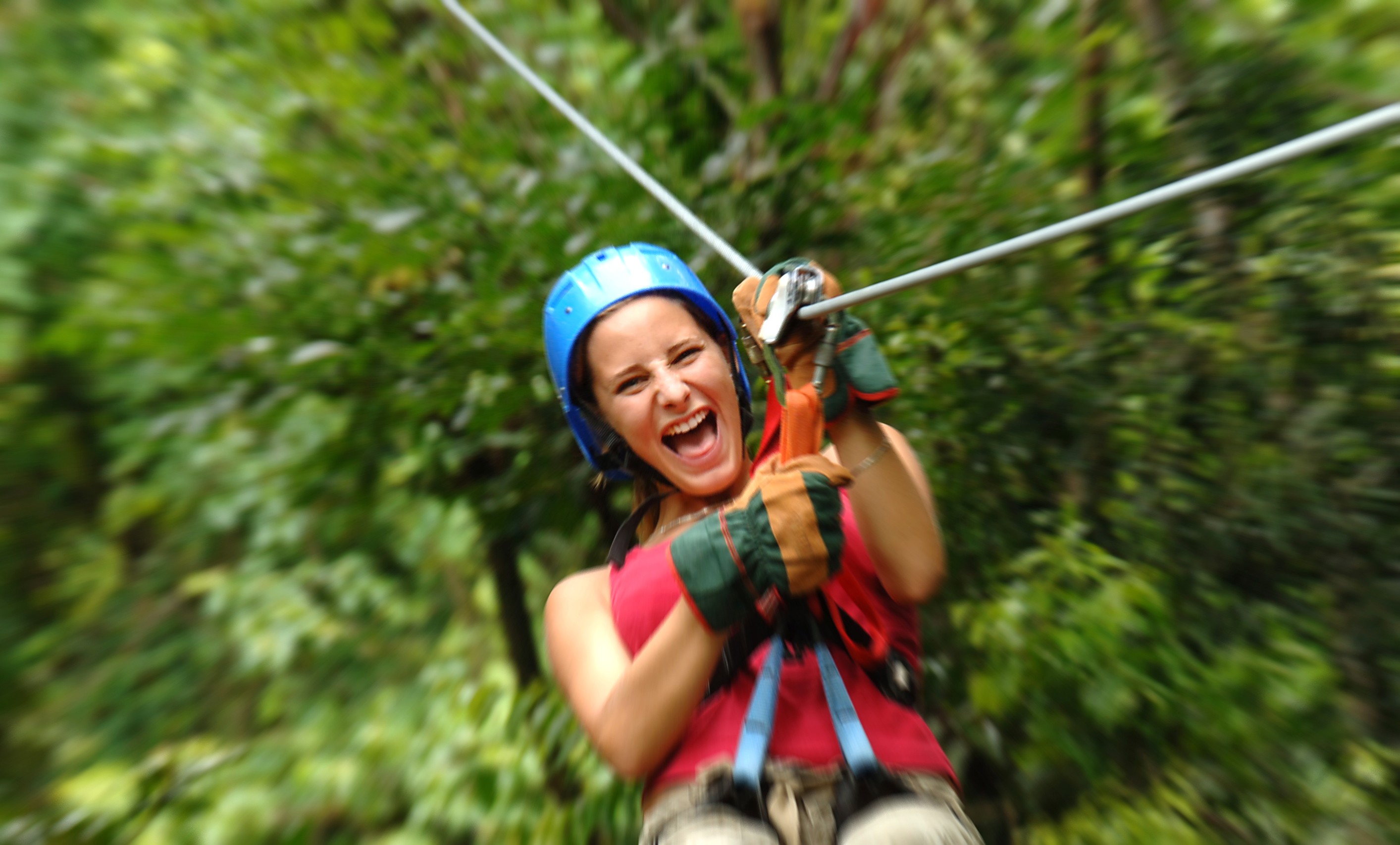 Det er fantastisk at zipline i tågeregnskoven ved Monteverde, Costa Rica