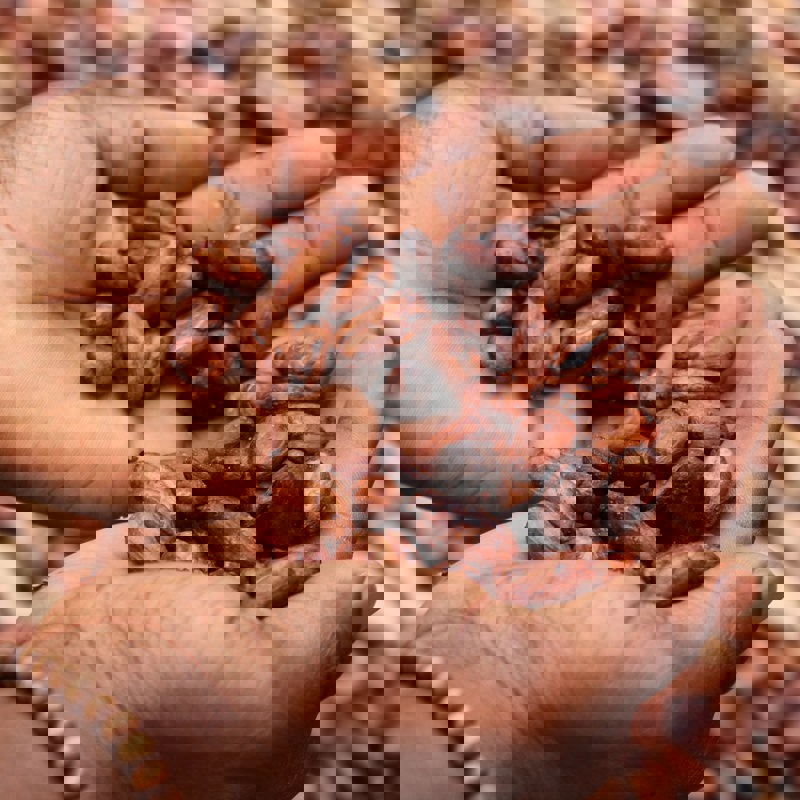 etty-fidele-oJpkjWcScyg-unsplash