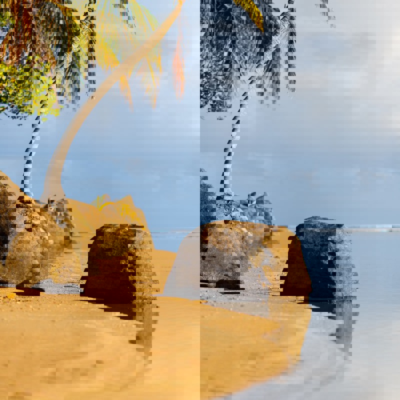 alexis-antonio-zR8ekoHsoPo-unsplash