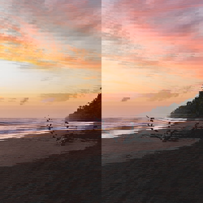 etienne-delorieux-L9V68-Tw7kY-unsplash