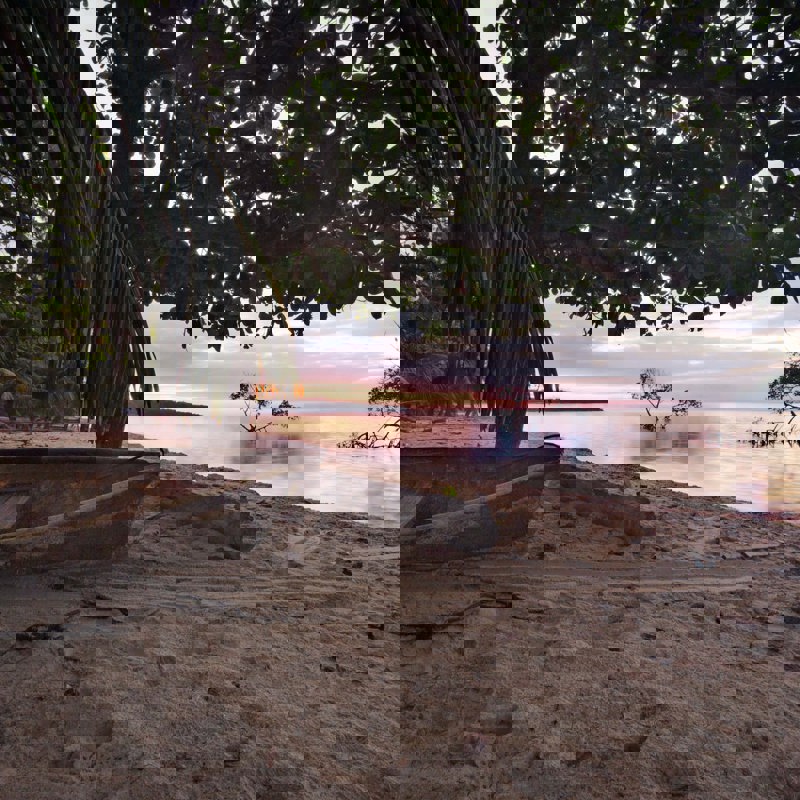 kevin-wenning-0R1Xbi1etDg-unsplash