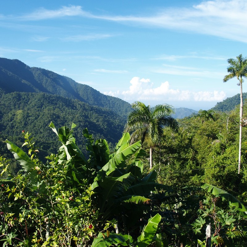 comendancia bjergene