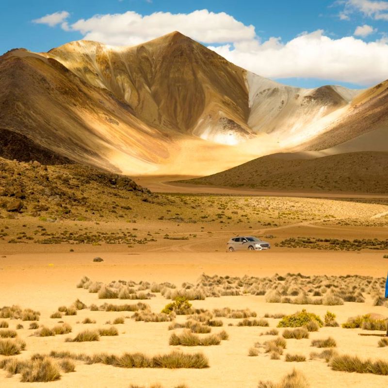 I:\AXUMIMAGES\Sydamerika\chile\Det nordlige Chile\Lauca