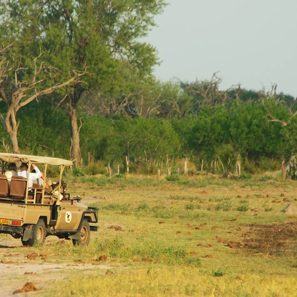 Khwai River, Botswana, Afrika