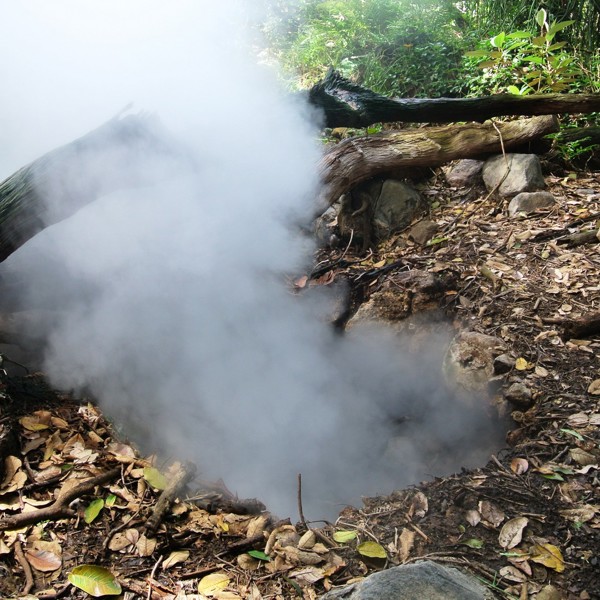 rindcon de la vieja røghul