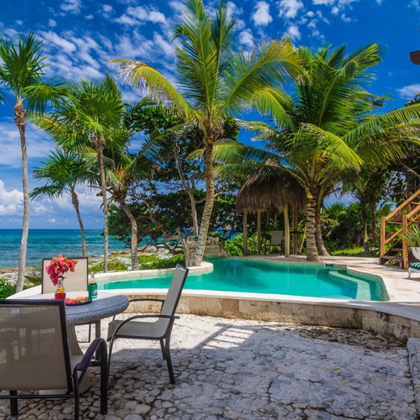 Terasse, pool og palmer