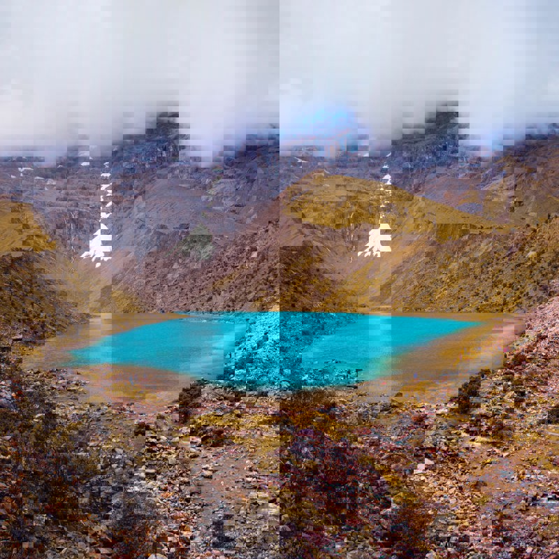 michael-brawn-lka8Sj4PQzY-unsplash