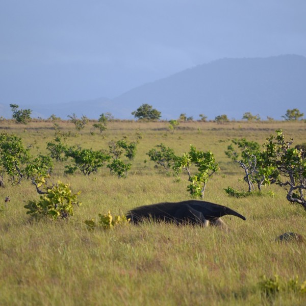 Rundrejse i Sydamerika