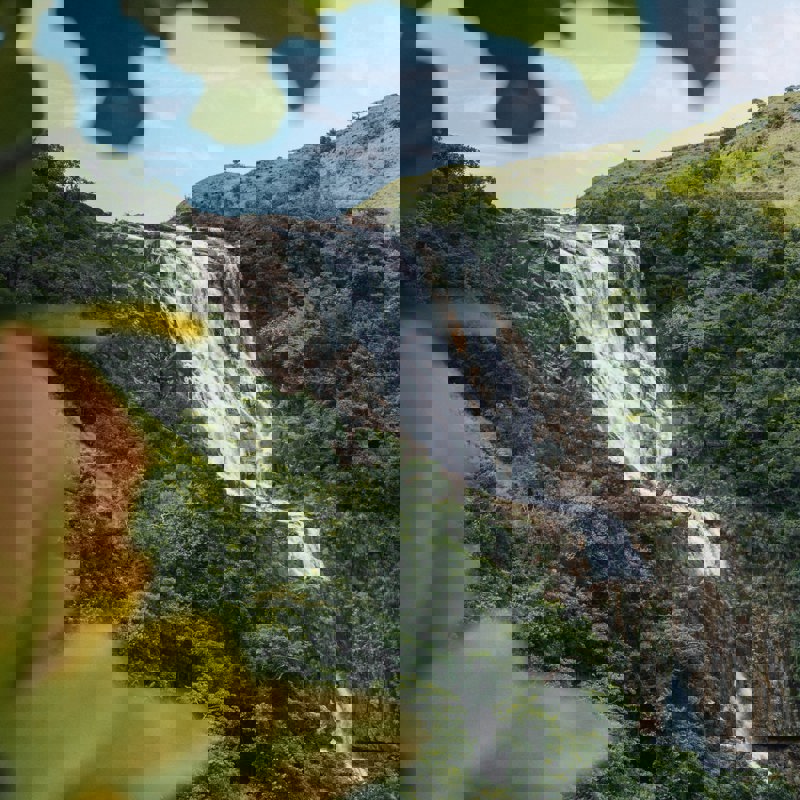 cristhian-carreno-PLkDENZASSg-unsplash