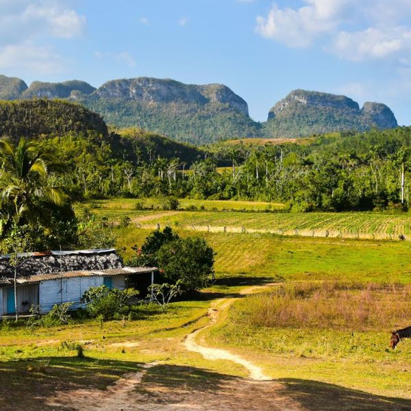 Vinales - Cuba