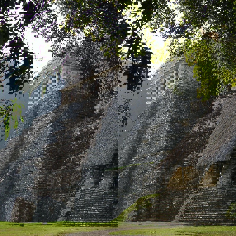 danny-van-dijk-XMhOGONIrp4-unsplash