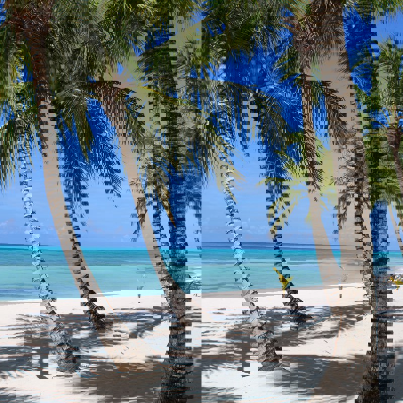 rachid-oucharia-1PwLUZwNmJQ-unsplash