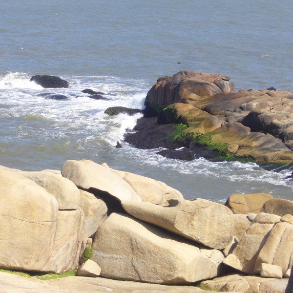 capopolonio søløver