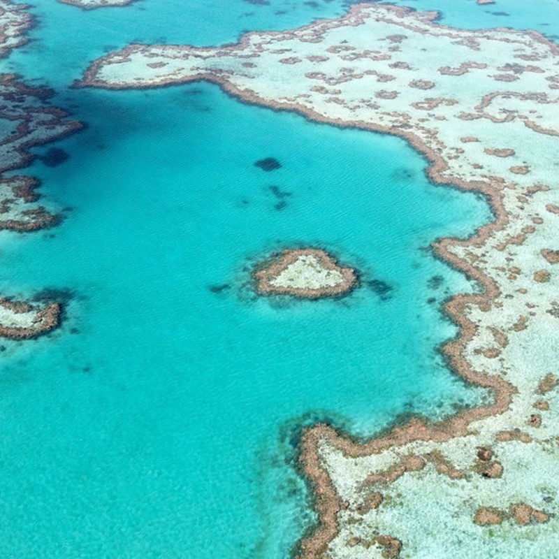 Great Barrier Reef, Australien