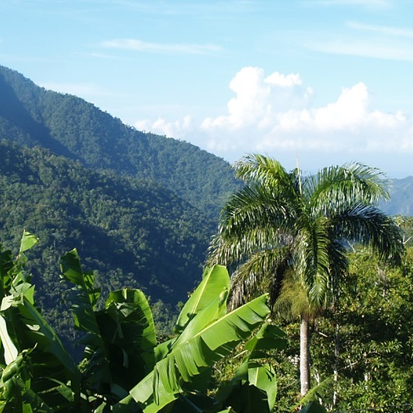 privat indkvartering hos cubanere