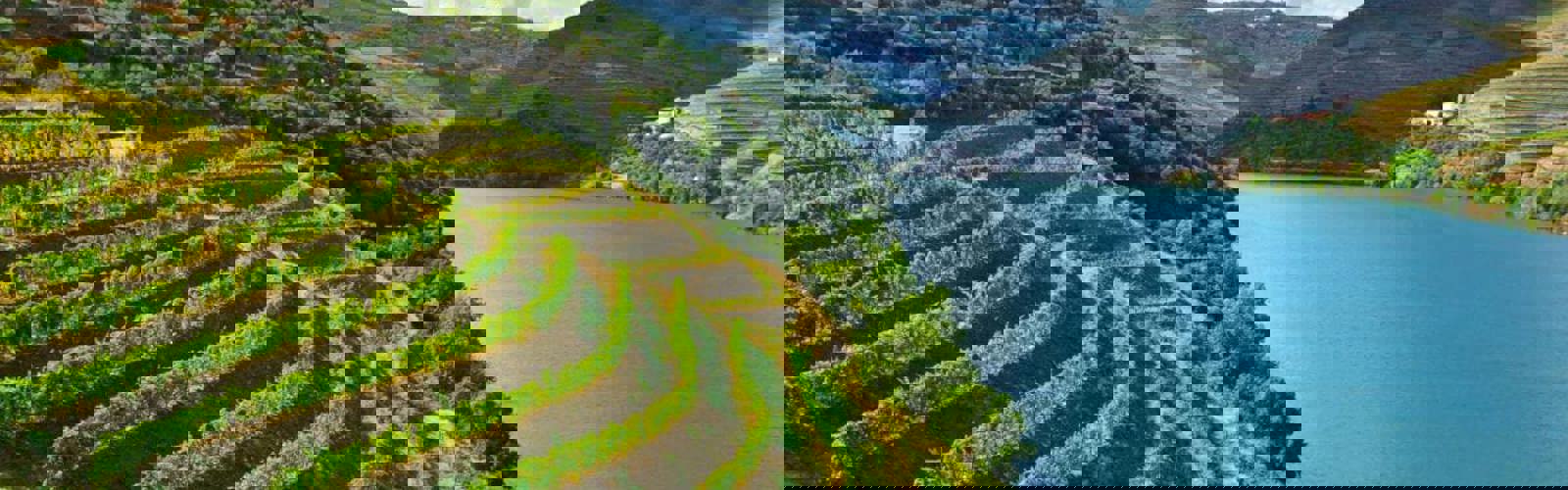 Douro-dalens vinmarker og flod