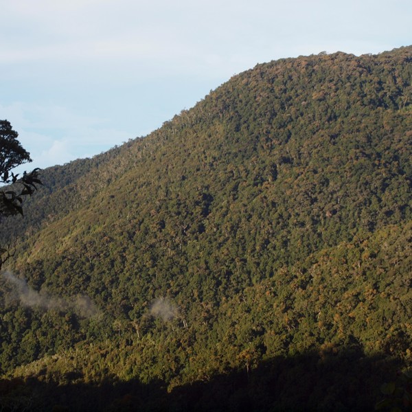 san gerardo de dota bjerg