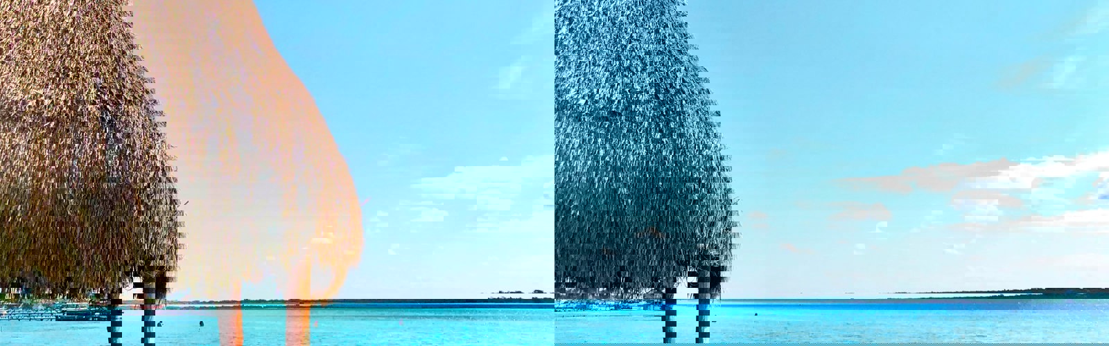 max-harris-brassil-2-v13zRZuLI-unsplash