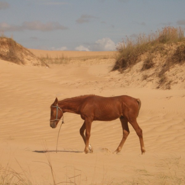 gåtur til capo polonio