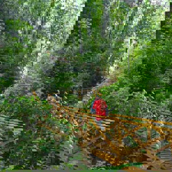 Vandr rundt i Guatemalas regnskove og oplev unik natur