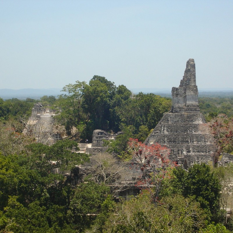 tikal