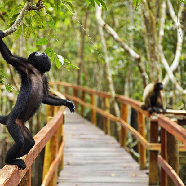 Aber besøger Juma Lodge