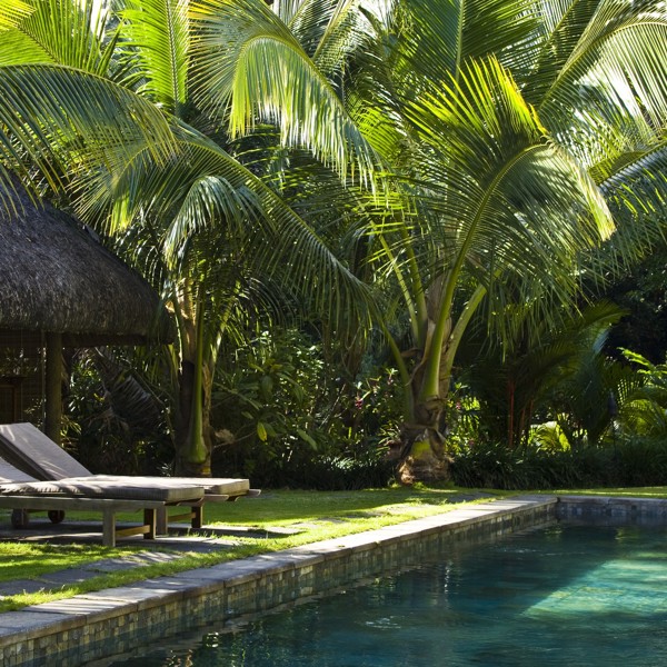 En af poolsene, Lakaz Chamarel, Mauritius