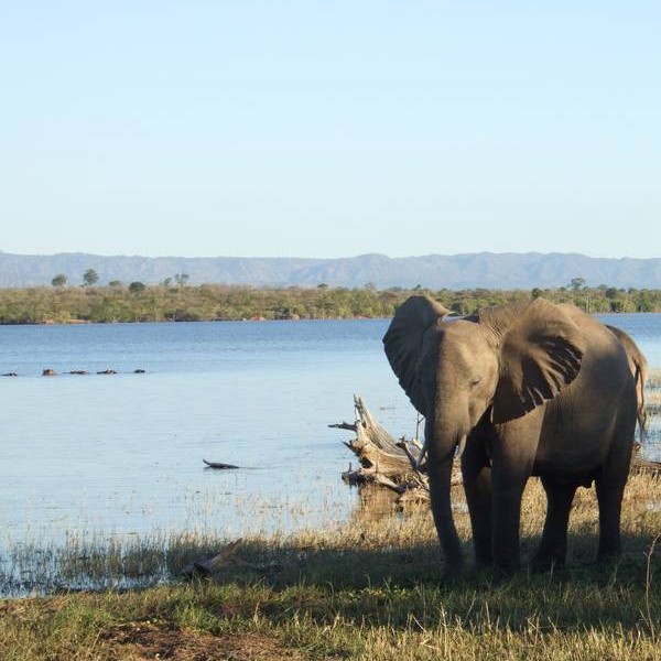 Lake Kariba, Zimbabwe, Afrika