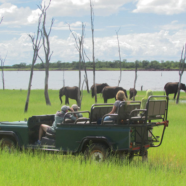 jeep safari i matusadona