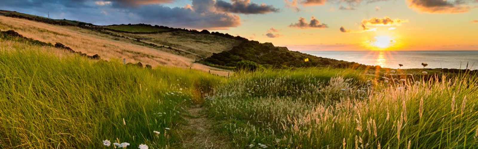 The path to paradise