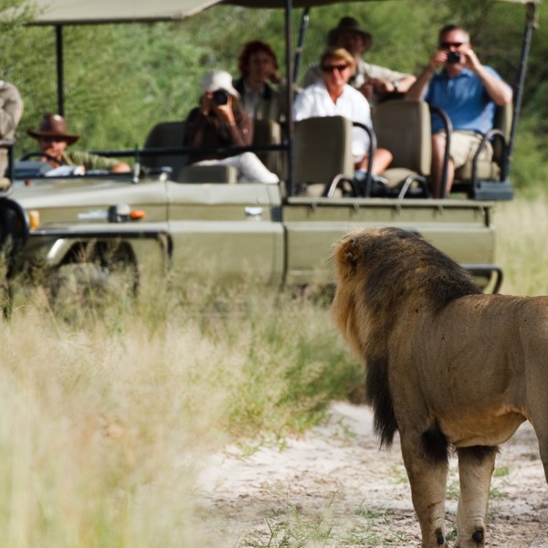 På gamedrive på Deception Valley Lodge, Botswana