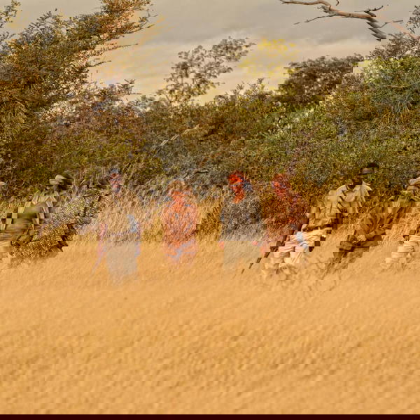 Bushwalk ved Somalisa