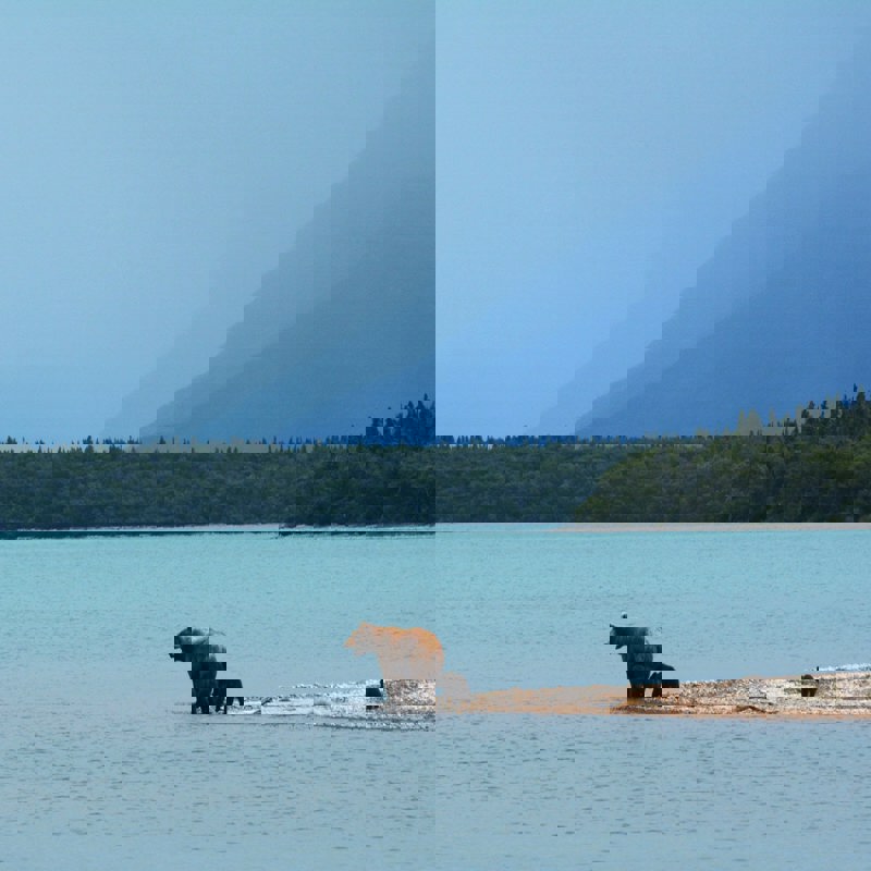 paxson-woelber-8IuAYIIzFMI-unsplash