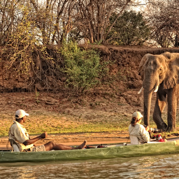 Kanosafari på Zambezi floden