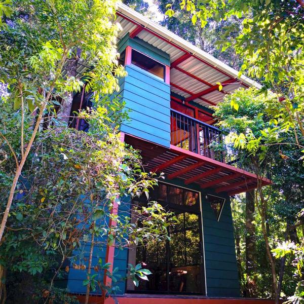 Villa omgivet af skov i Mionteverde